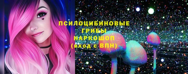 spice Арсеньев